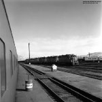 2nd Gen Geeps
